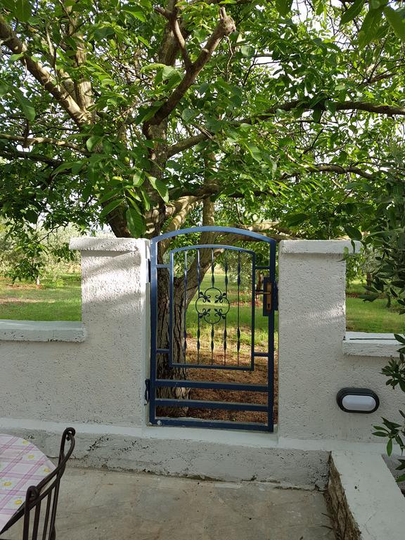 Villa Rosa With Yard And Children'S Playground Tar-Vabriga Exterior photo