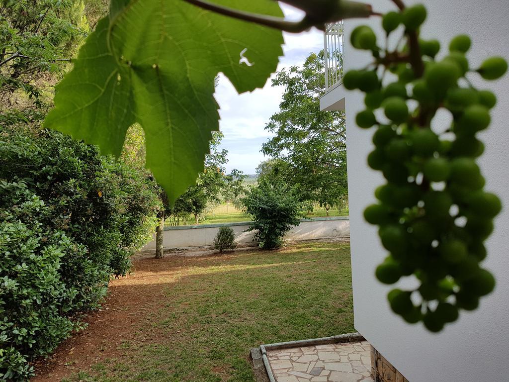 Villa Rosa With Yard And Children'S Playground Tar-Vabriga Exterior photo